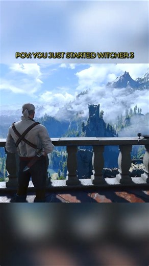 POV: You Just Started Witcher 3