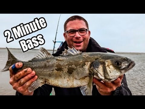 Big Beautiful Bass in Less then 2 mins , Fishing St Helens on the Isle of Wight