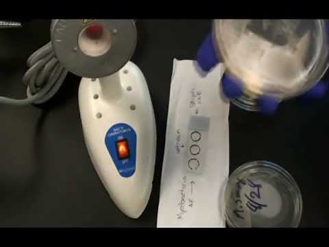 How to Prepare a Bacterial Smear for Acid Fast Stain