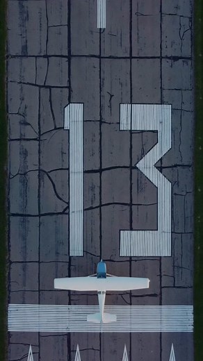 The flying bug ✈️ #pilot #aviation #avgeek