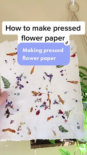 DIY Flower Seed Paper: How to Make Plantable Paper with Pressed Flowers
