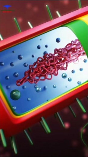 Prokaryotic cells biological definition | #shorts #prokaryotic