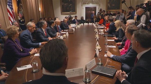 Key takeaways from Trump's 1st Cabinet meeting -- with Elon Musk