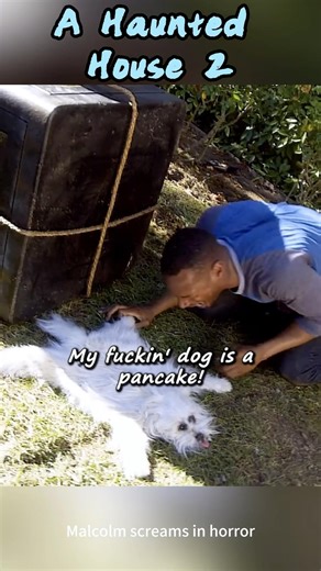 A Haunted House 2｜Malcolm's Dog Disaster: From Flattened Pup to Hospital Chase 🎬