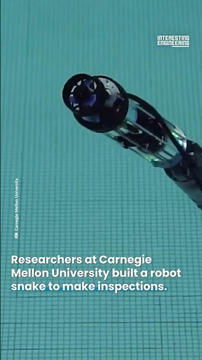 Meet the Underwater Robot Snake!