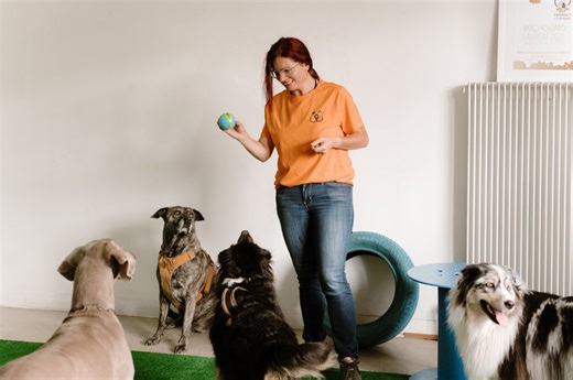 PatchGuard – Hundepensionen und professionelle Hundesitter – EmmeneTonChien.com