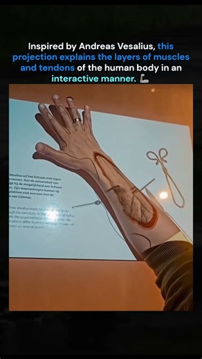 500-Year-Old Anatomy Just Came Back to Life...🤯