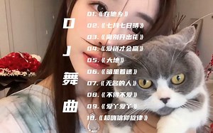 8D环绕经典老歌DJ版，震撼重低音，车载酒吧，值得收藏转发