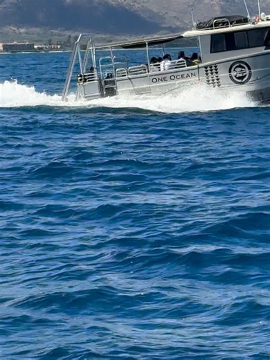 49K views | Ocean Ramsey on Reels | Facebook