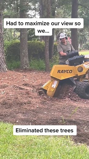 Cut down ALL the trees | The Gibbons Group