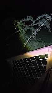 Do you have power where you are? We lost ours in Stanwood about 1am, then this tree fell at 3:30 and just missed our back deck! Stay safe, everyone! | Taryn Daly