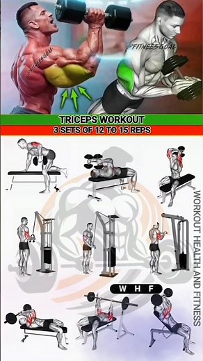 Tricep Definition Workout 🔥