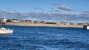 Bluefin all over today eat Stripers | Chris Kahler