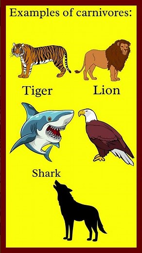 Herbivores, Carnivores, and Omnivores: What’s the Difference? | Science for Kids #shorts #shortvideo