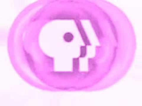 PBS 2008 DVD LOGO