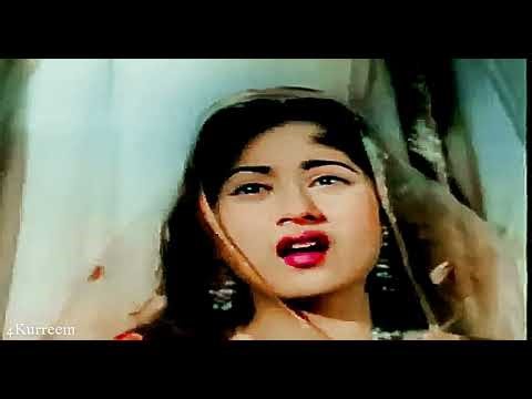 Guzra huwa zamana ata nahin do bara hafiz khuda tumhara |4K| shirin farhaad