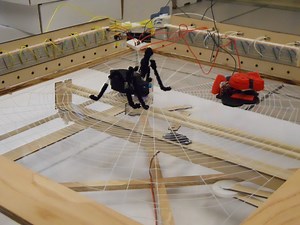 Bug-Catching Spider in Web, Part 2