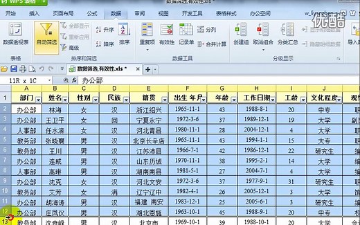 WPS表格教程（全10讲）