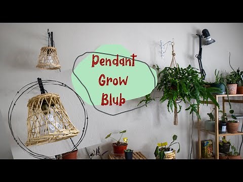 DIY Pendant Grow Light Bulb | Hanging my Grow Bulb