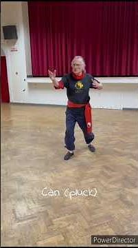 Tai Chi 8 Energies Form.