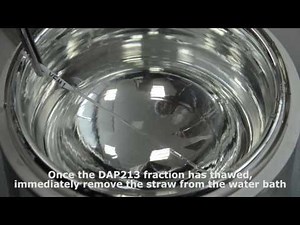 Warming procedure for embryo vitrification in straws