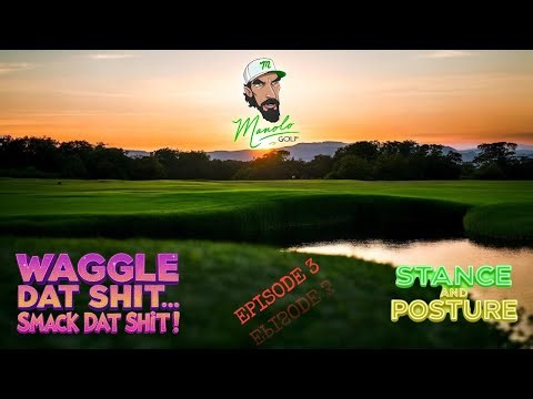 Part II... Stance and Posture