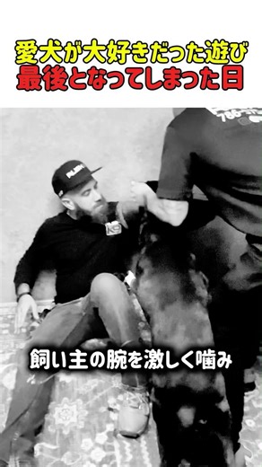 【感動】飼い主を噛む愛犬、その足には「点滴の針」が。最期の瞬間に大好きな遊びを選んだ、涙が止まらない理由 #いぬ #犬 #犬動画 #感動 #驚き #最後の日 #涙腺崩壊 #家族 #shorts