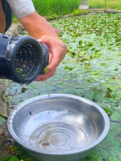 14K views · 269 reactions | #video #castnet #scoopfish #fishingmethod #throwcastnet #traditionalfishing | •I miss you• | Facebook