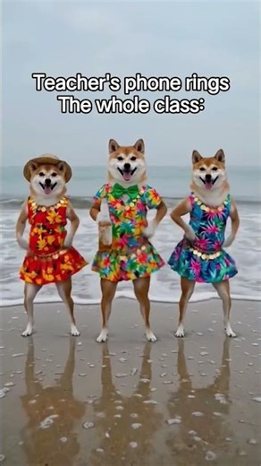 doge meme #school #schoollife #schoolmemes #funny #relatable #viral #shorts #trending #dog #cute