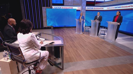 Democratic candidates for US Senate debate at WGN