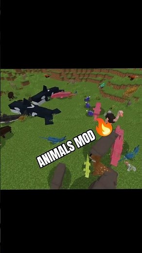 Minecraft MODS