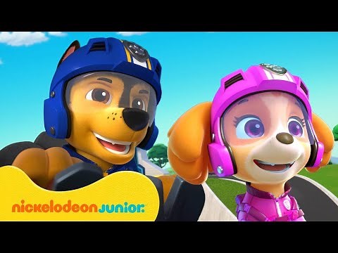 PAW Patrol : La Pat' Patrouille | Les missions aériennes de la Pat' Patrouille !
