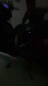 1.6K reactions · 379 shares | We Sell & install Led Auxiliary Lights...