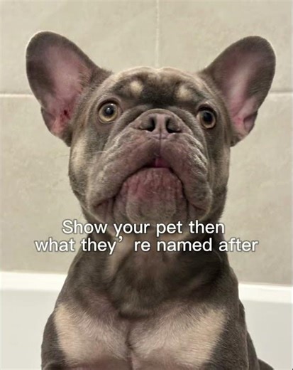 Show your dog and what their named after
