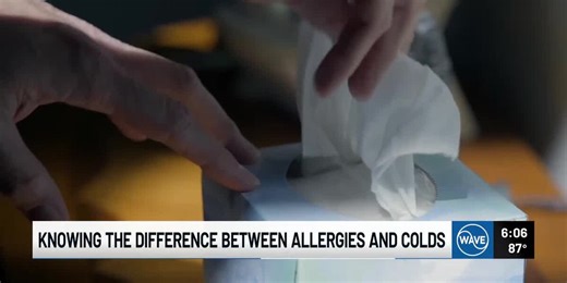 Knowing the differences between colds and allergies