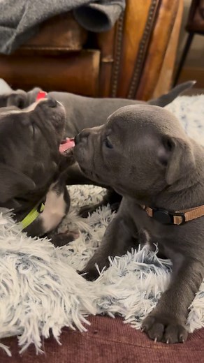 58K views · 8.2K reactions | I’m not entirely sure… but this could be...