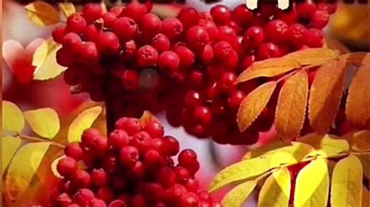 16 октября 2025