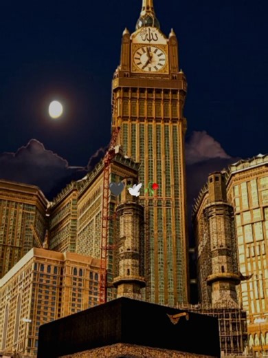 Islamic Quotes for Daily Inspiration and Reflection