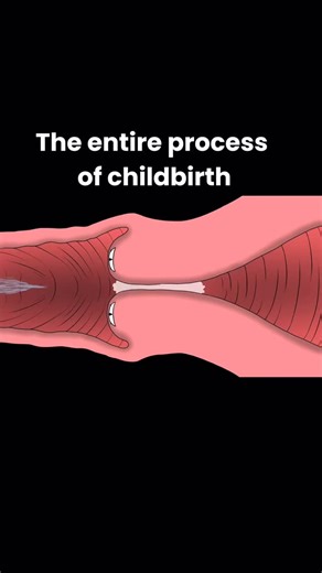 Healthy_Life_Strong on Instagram: "Childbirth is the natural process by which a baby is born from the mother’s womb. It occurs in three main stages. The first stage is labor, when the uterus contracts and the cervix gradually opens to allow the baby to pass through the birth canal. The second stage is delivery, when the mother pushes and the baby is born. The third stage is afterbirth, when the placenta is expelled from the uterus. Throughout the process, the mother’s body works in coordination 