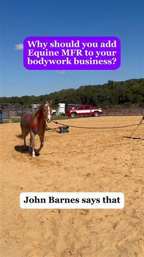 Here’s a sneak peak into my equine bodywork certification program If there’s one thing every horse owner should understand, it’s this: Your horse’s body doesn’t work in isolated parts. Fascia connects EVERYTHING. Fascia is a continuous 3D web, wrapping every muscle, bone, organ, vessel, and nerve—so the body doesn’t move in pieces, it moves as a unit. That means: -A restriction in the poll can affect the hind end -Pelvic imbalance can show up in the shoulder or lumbar spine -Tightness in the tho