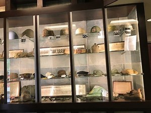 A display honoring the U.S. military at the Livingston Public Library