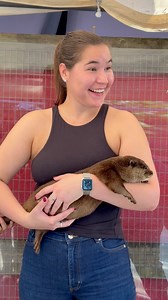 24K views · 783 reactions | What Our Otter Experience Is Like During The VIP Tour.. These Tours ALL Sell Out! Book Yours Now at AnimalEDventures.com Add an Otter Swim To It 勞 | Animal EDventure Park & Safari | Facebook