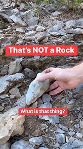 63K views · 188 reactions | Discovery on a hike  #science #nature #discovery | Our Life is Magic | Facebook