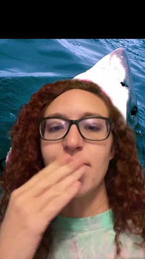 Shark Teeth: Constantly Rotating Razors in Jaws