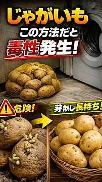 How to store potatoes so they last longer without sprouting