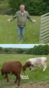 Clarkson's Farm - Jeremy's ungrateful Cows 🐄🤯🚜 #farming #jeremyclarkson #farmlife #clarksonsfarm #cows | Farms and Furious