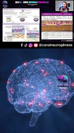 📍 Proteínas estruturais📚 Aula completa no Canal