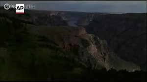 'Nature' celebrates 40 years of documenting wildlife