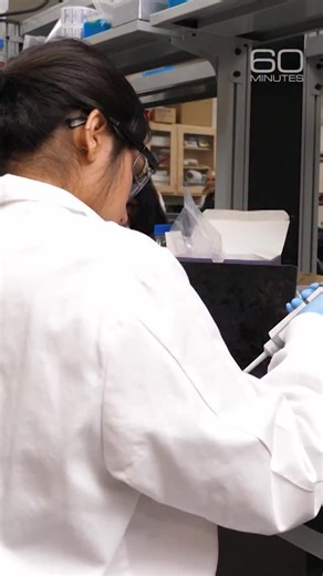 13K views · 951 reactions | America’s next wave of scientific talent may come from Lambert High School, where students used CRISPR to develop a promising new way to detect and treat Lyme disease. This Sunday, Bill Whitaker follows the students as they compete in a prestigious international science competition. | 60 Minutes | Facebook