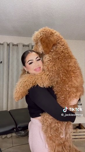 jackie on TikTok